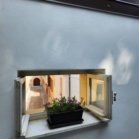 Domus Flavia Lejlighed Mantova Eksteriør billede